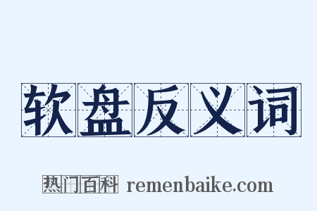 软盘反义词是什么意思的图片